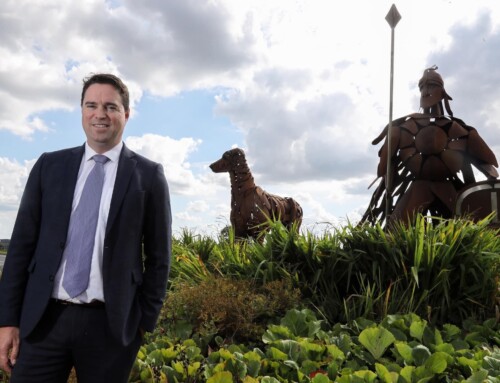 Fully Resourced Conservation Management Plan needed for the Curragh Plains